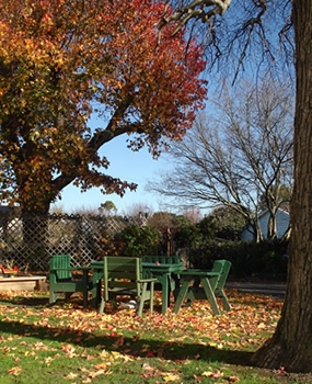 beautiful gardens in Wairarapa