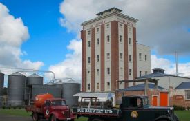 Tui HQ (NZ's best beer)